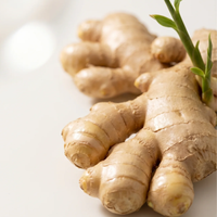 Ginger