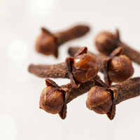 Clove