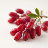Barberry