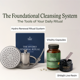 The Foundational Cleansing System
