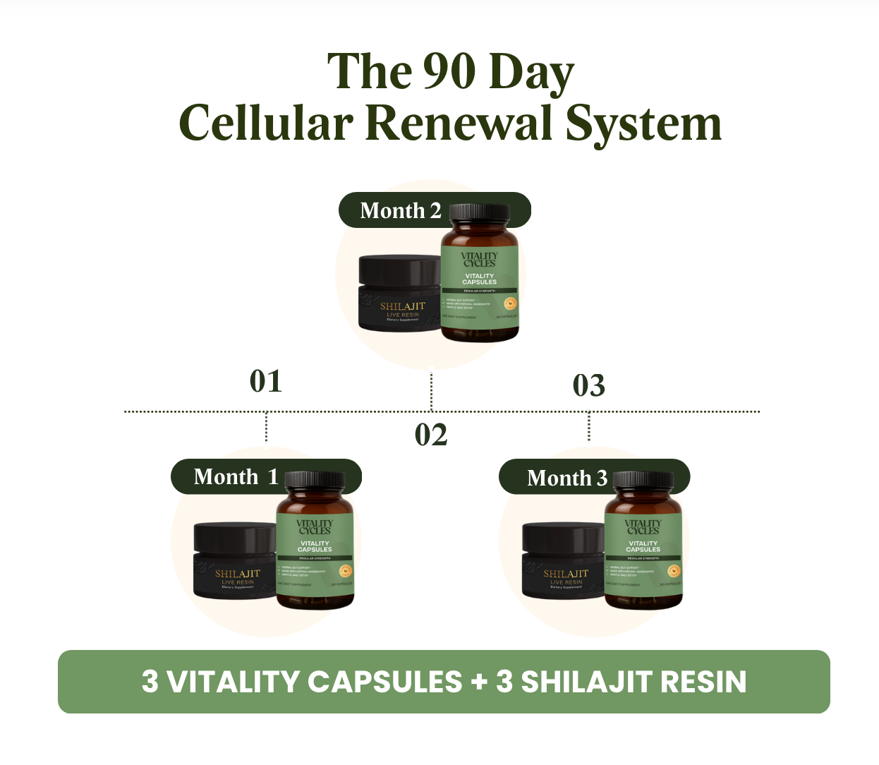90 Day Original Cellular Renewal System- 3 Regular Strength + 3 Shilajit