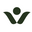 Vitality Cycles logo