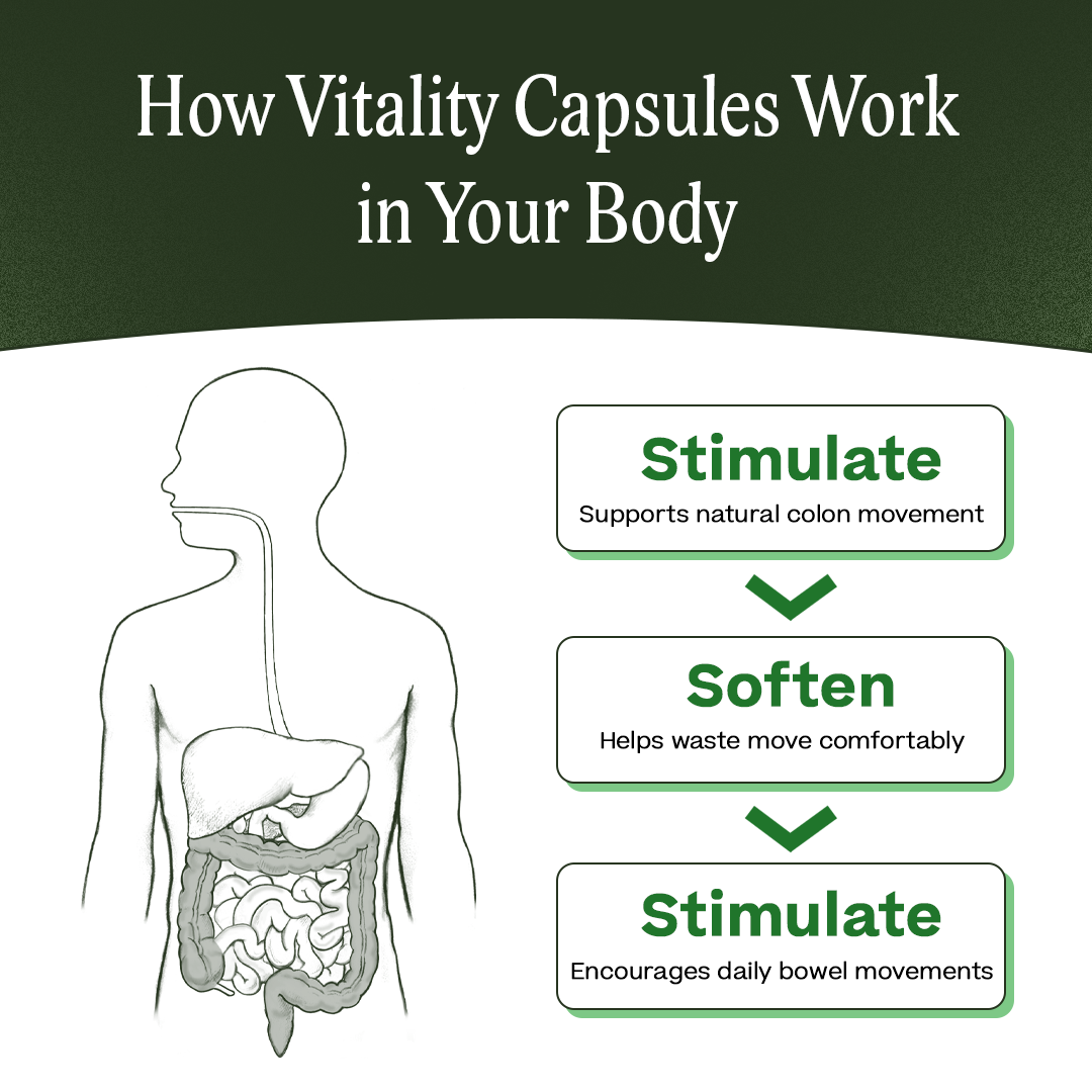 Vitality Capsules Regular Strength – 90 Day Supply (2 Months + 1 Month Free)